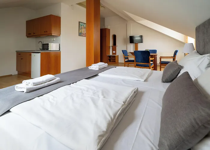 Hotell Forras 3*